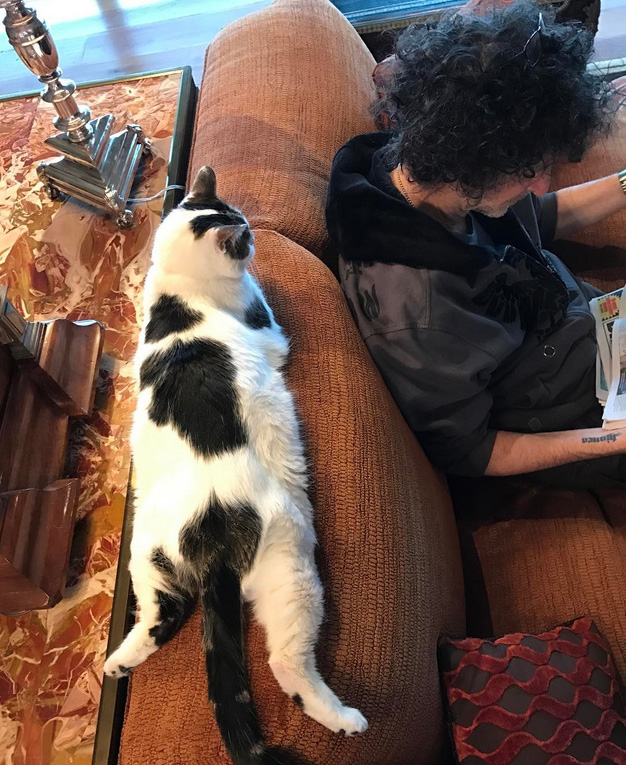 bethblog-0217-beth-howard-stern-walter-cat