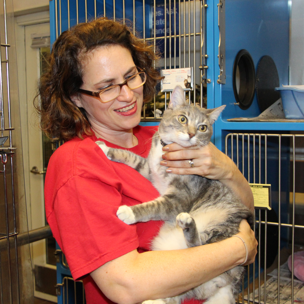 faces-of-the-league-kate-haslbauer-holding-grey-cat-10072014
