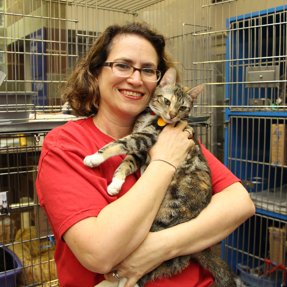 faces-of-the-league-kate-haslbauer-holding-striped-cat-10072014