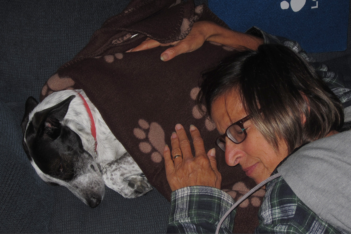 hmh-cordelia-adopter-pic-2018-sleeping-img4598