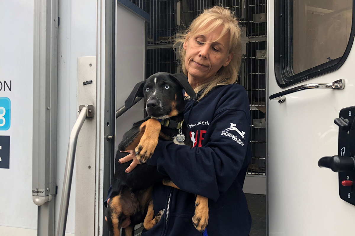 rescue-hurricane-florence-supplies-journey-arrival-home-092318