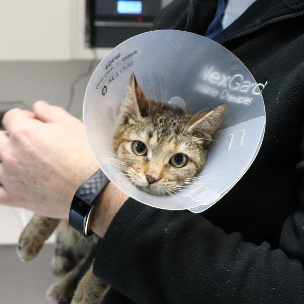 rescue-emergency-cranberry-update-img1685-122018