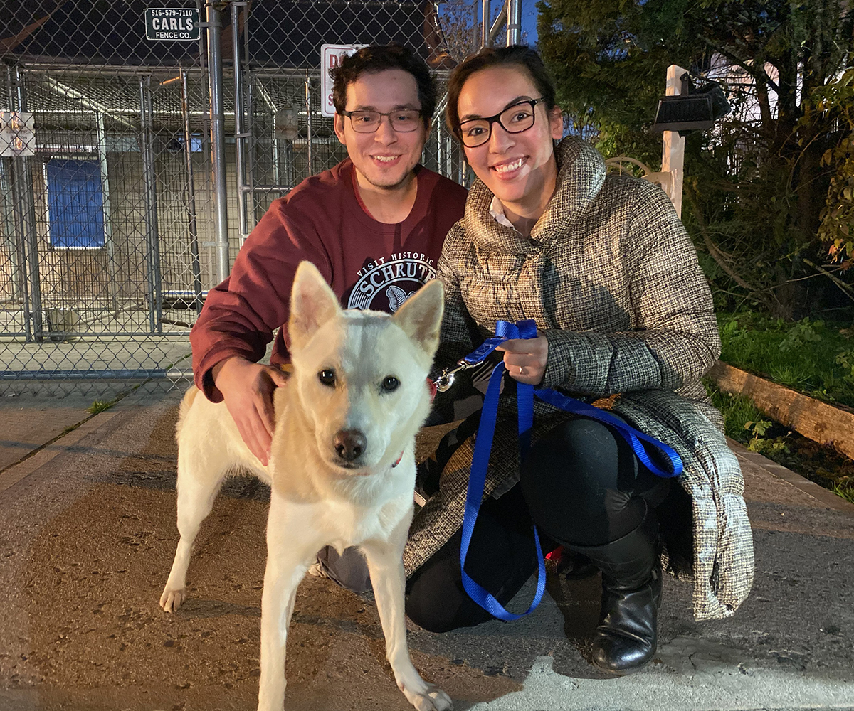 korean-rescue-update-mama-adoption-img0516