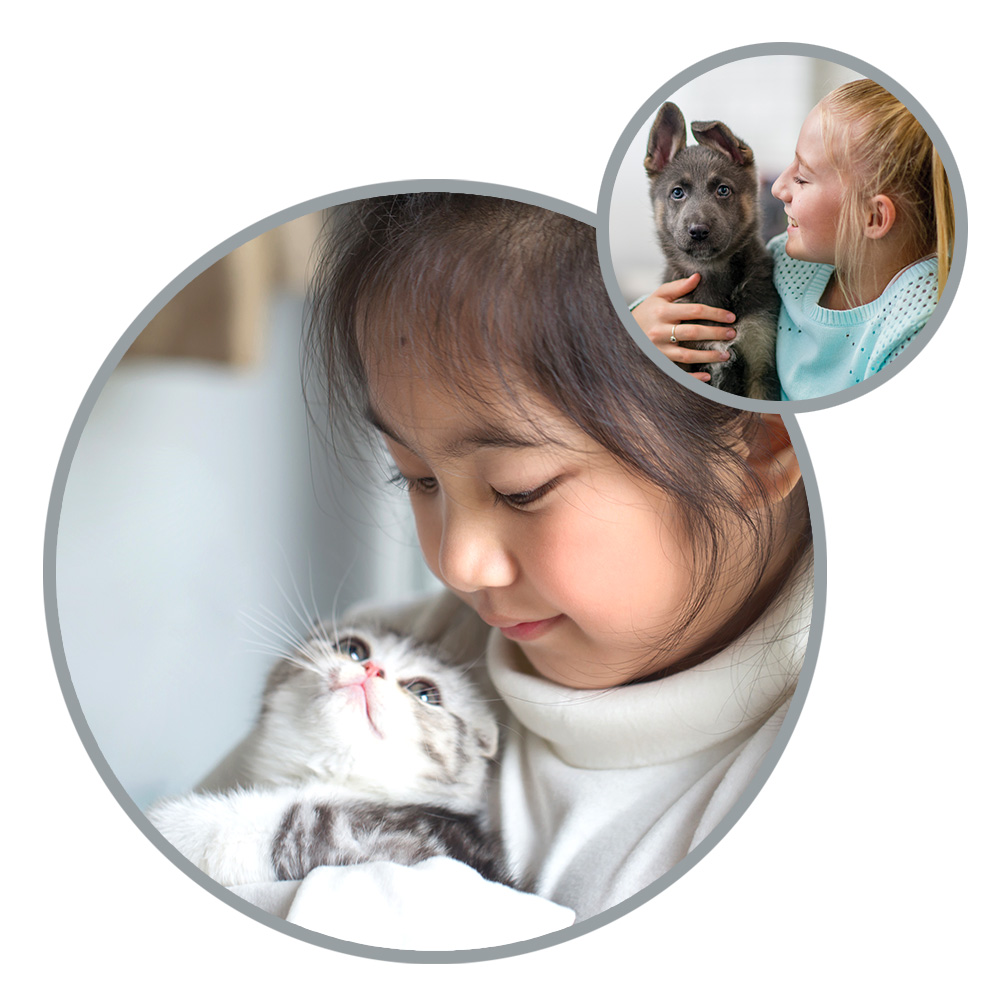 NSAL_assets_image_petplan_2020_2a