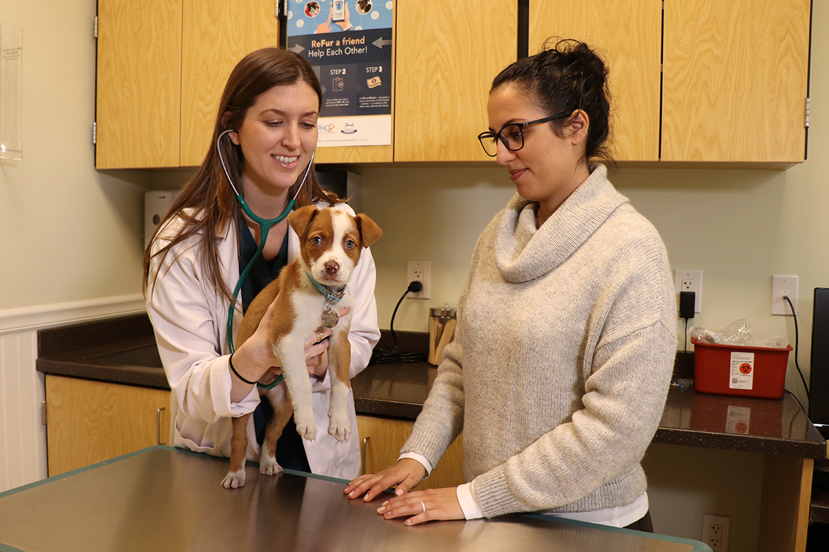 medical-vet-exam-img-7026