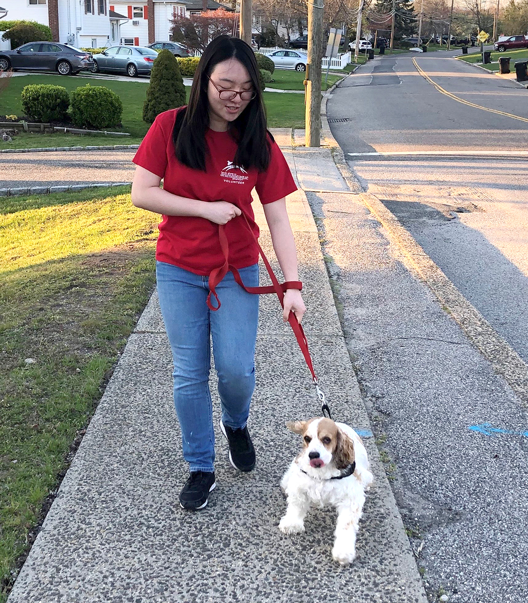 volunteer-month-2020-amy-huang-img1-041720