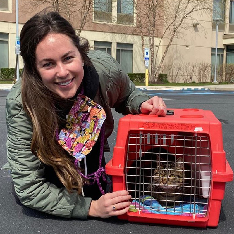 beth-blog-may2020-lynx-and-wolfie