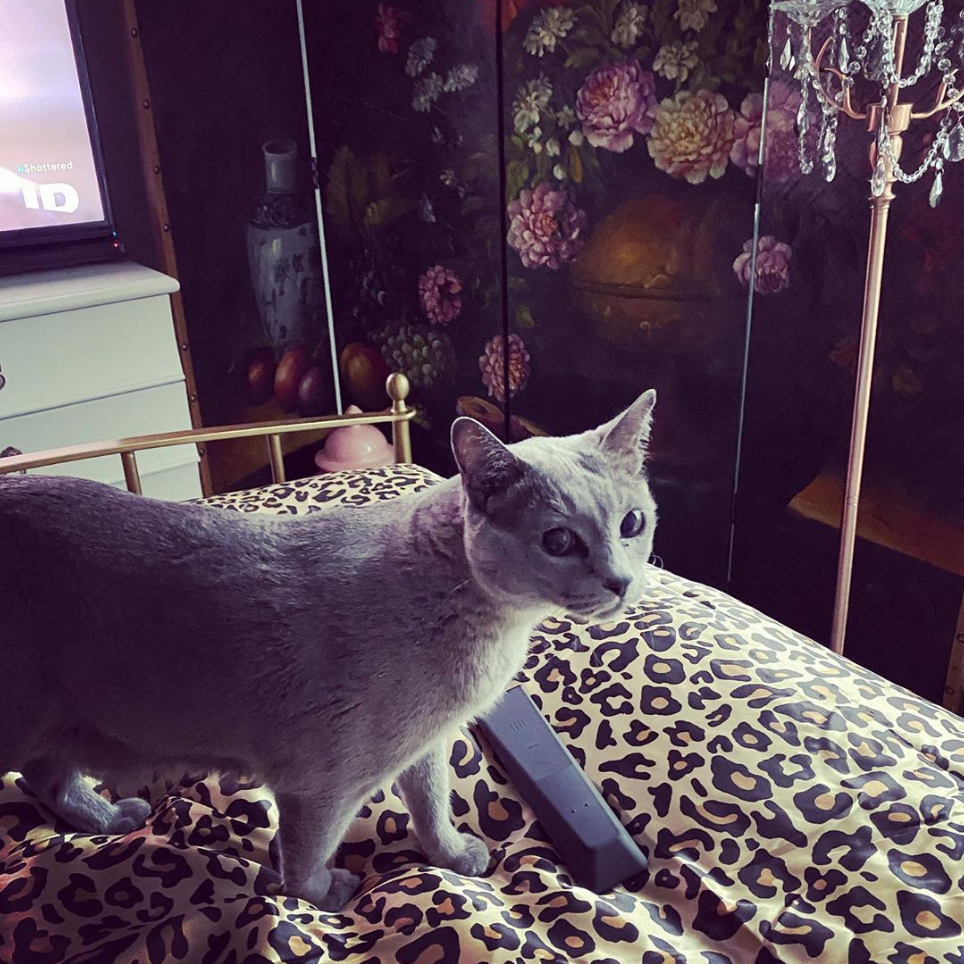 beth-blog-july-mia-now-jacqueline