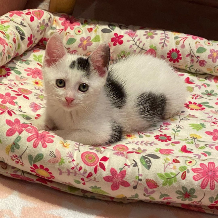 beth-blog-sept2020-auto-after