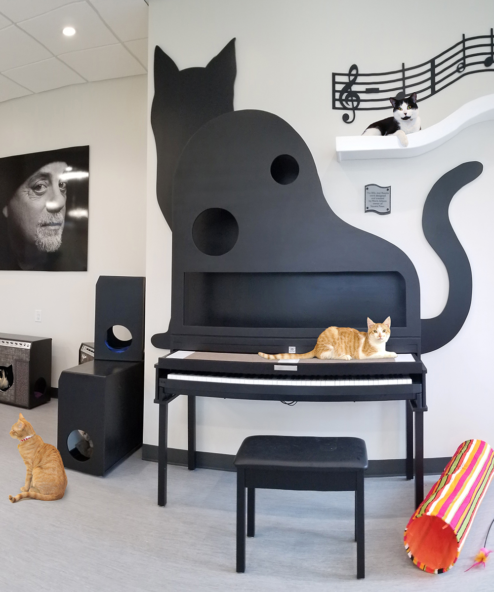 beth-blog-nov2020-bff-billy-joel-room
