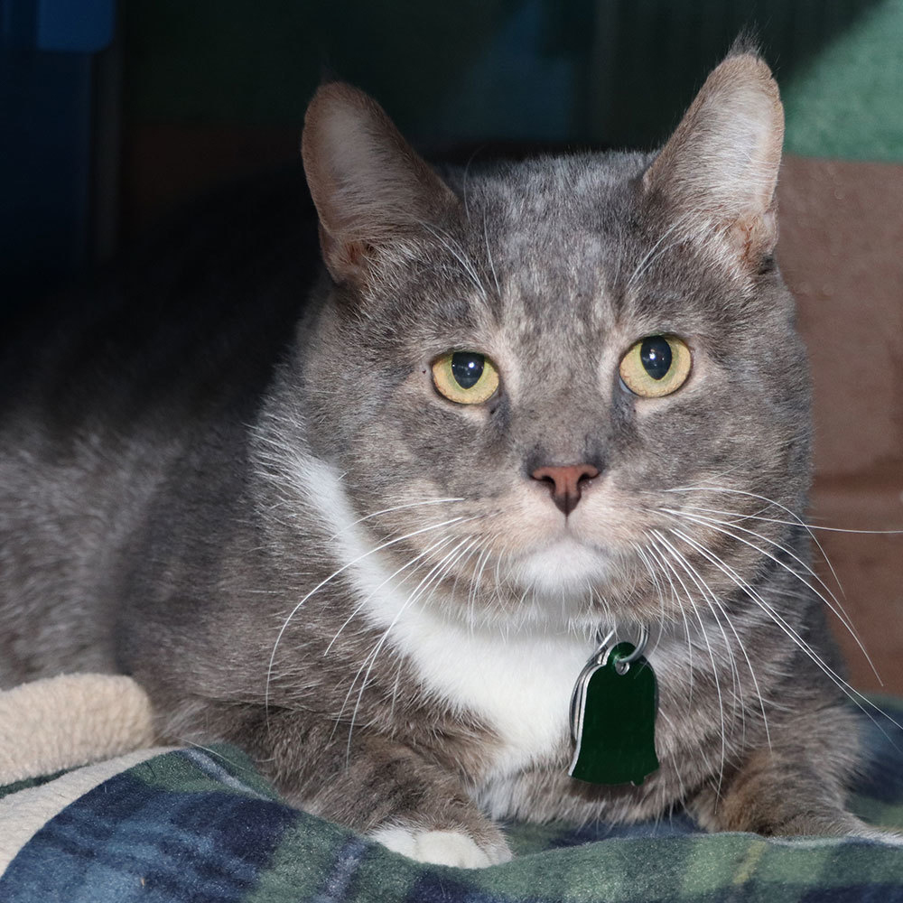 beth-blog-nov2020-bff-cat-felton