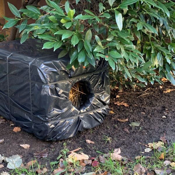 beth-blog-dec2020-sylvia-feral-shelters