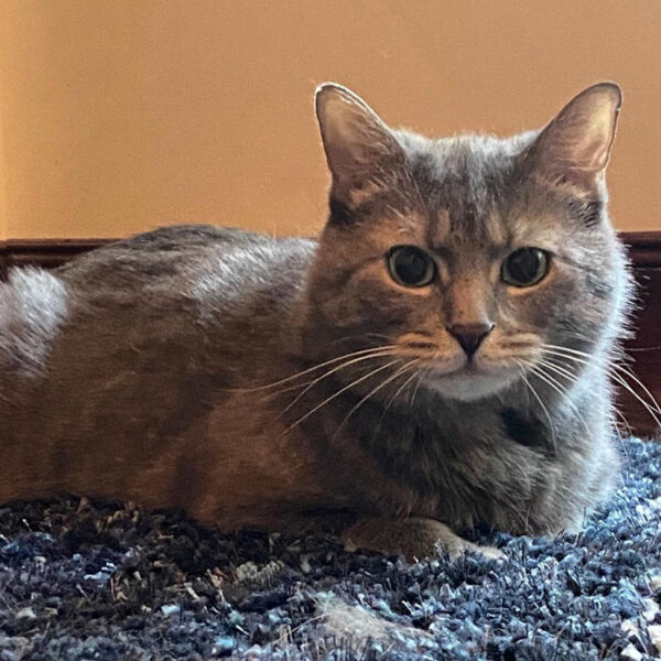 beth-blog-jan2021-belle