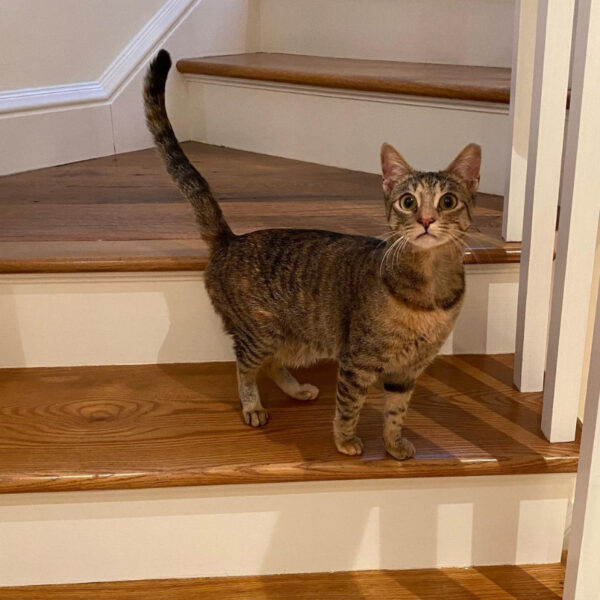 beth-blog-jan2021-dixie