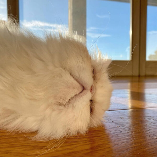 beth-blog-jan2021-yoda2