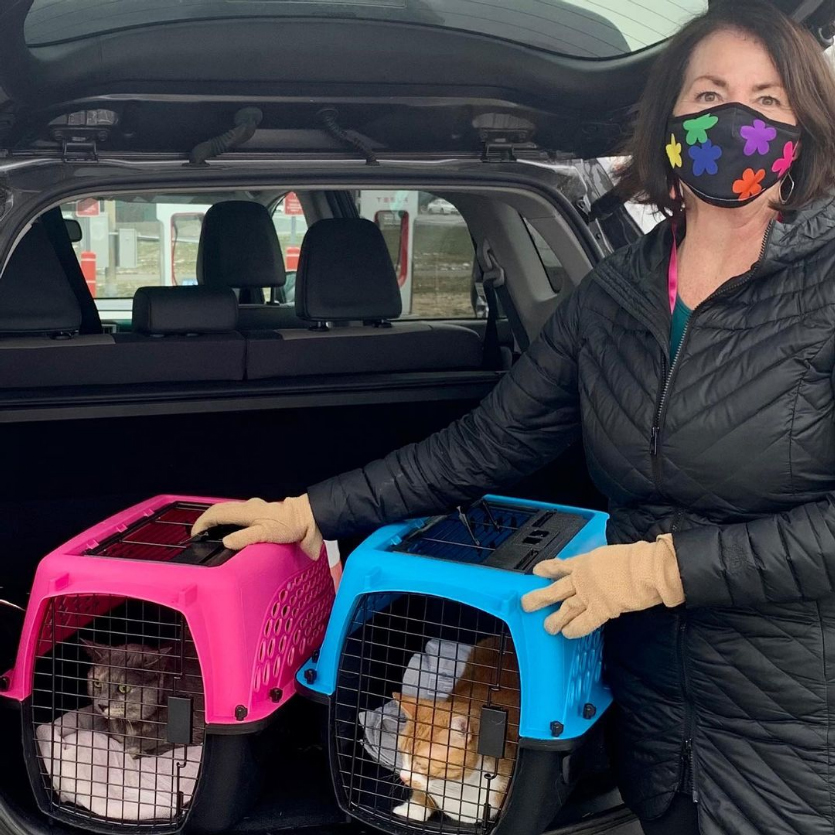 beth-blog-feb2021-11-jade-ralphie-adopter