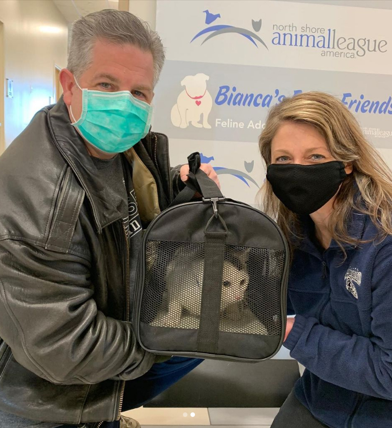 beth-blog-feb2021-18-winston-adopter Winston & Adopters