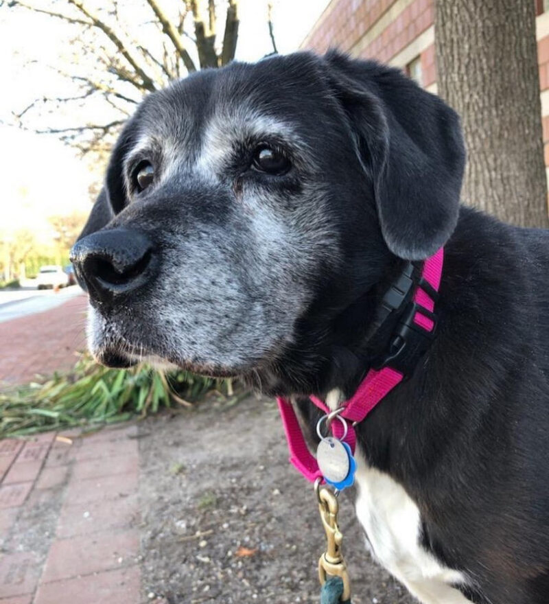 beth-blog-feb2021-5-ruby