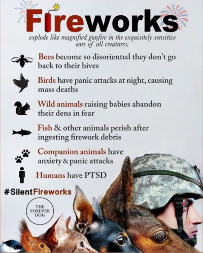 beths-blog-july2021-fireworks-info-graphic Courtesy The Forever Dog.