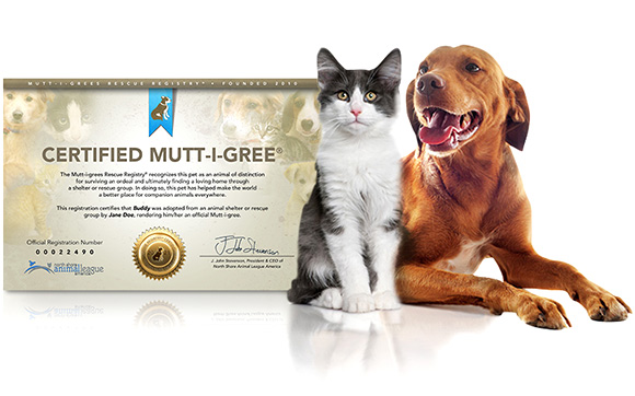fa-landing-certificate-2021 Certificate image
