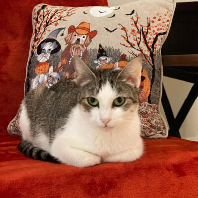 beths-blog-oct2021-mama-etta-jane