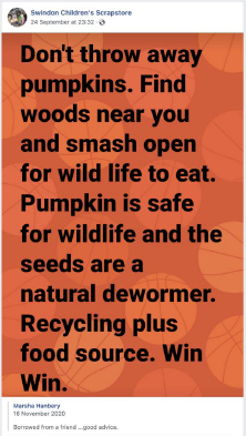beths-blog-oct2021-save-pumpkins
