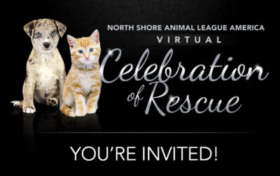 nsala_email_2021_header_virtualcelebration_1_640
