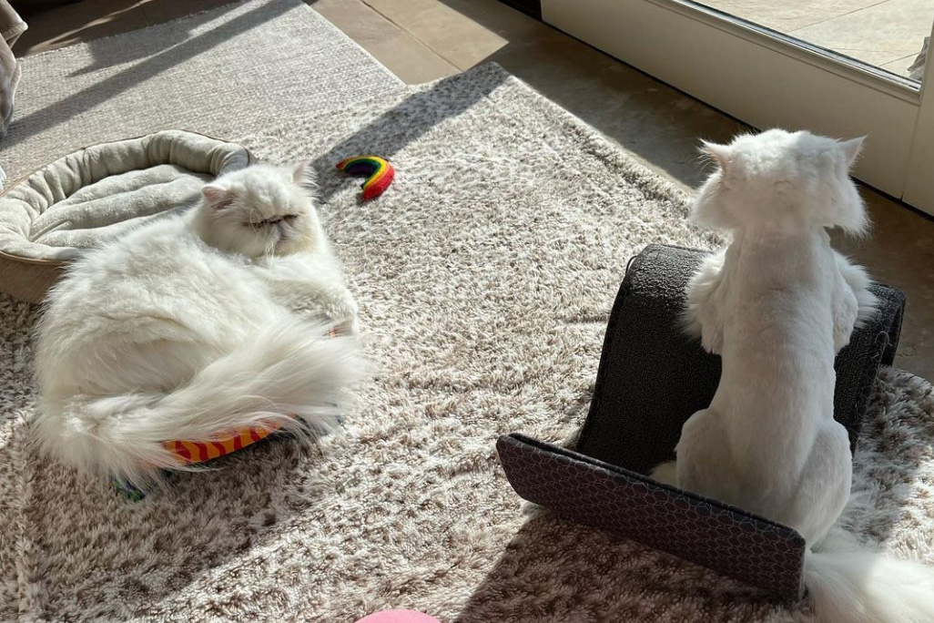 beth-blog-nov2021-yoda-and-grogu