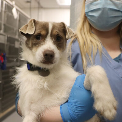 rescue-clarence-120721-IMG_8282