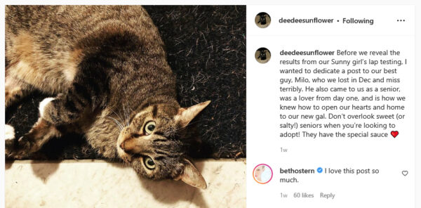 beth-blog-jan2022-deedee-sunflower-instagram DeeDee Sunflower Instagram