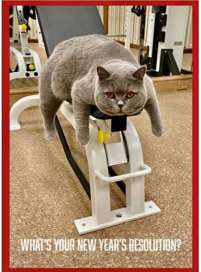 beth-blog-jan2022-helen-rose-resolutions
