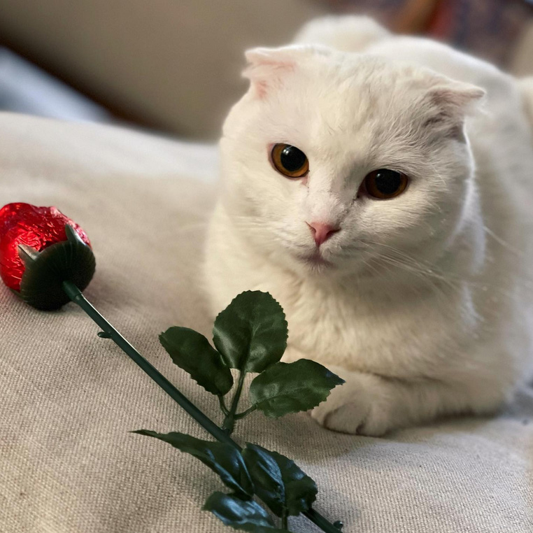 beth-blog-march2022-bonnie-belle-now-willow