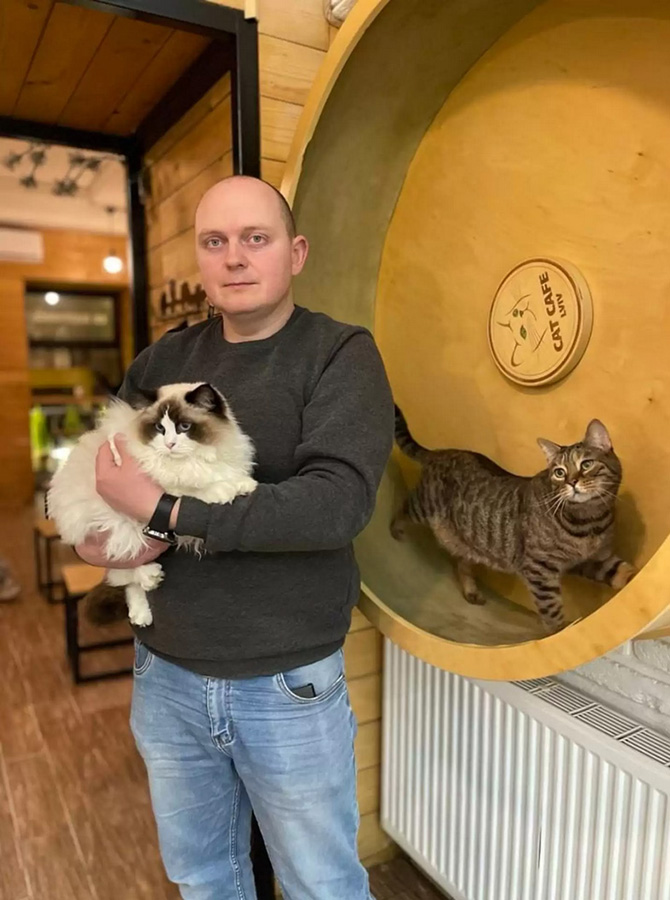 beth-blog-march2022-ukranian-cat-cafe-photo-thedodo.com
