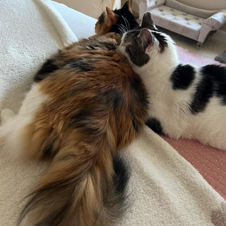 beth-blog-april2022-mooshu-and-walter