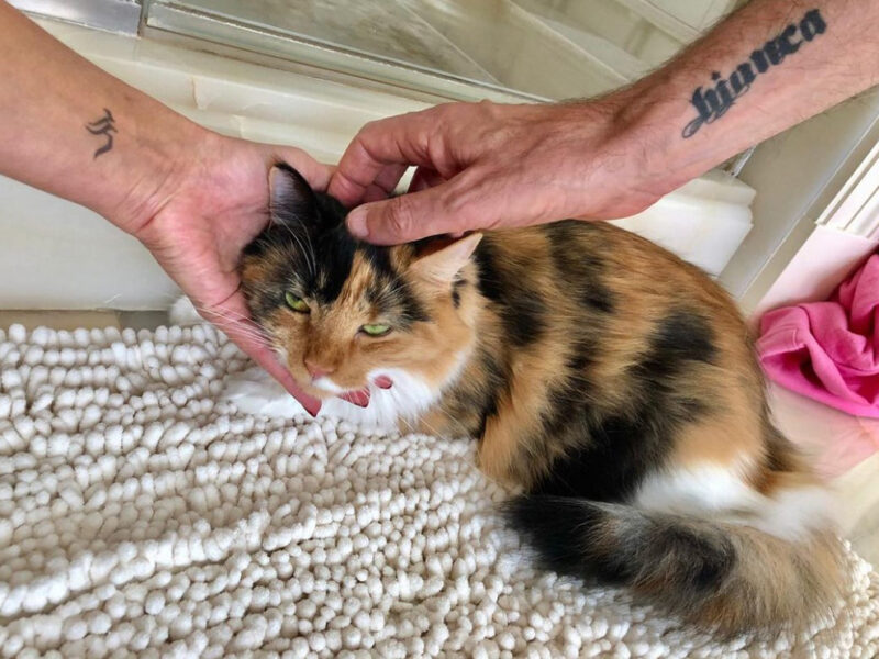 beth-blog-april2022-mooshu-peaches