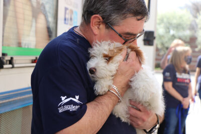 rescue-national-mill-dog-img3228-041622