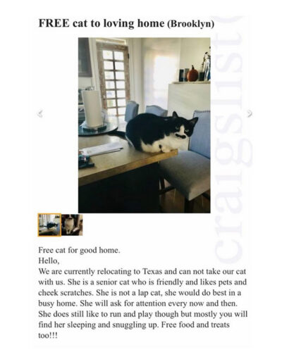 beths-blog-may2022-craigslist-ad
