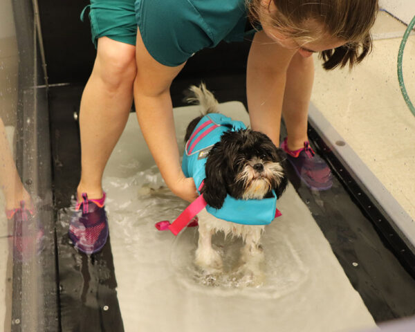 hmh-echo-hydrotherapy-071222