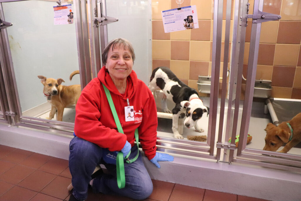 volunteer-month-jossie-oneill-041023c