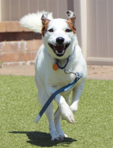 beth-blog-july2023-curly-t105722