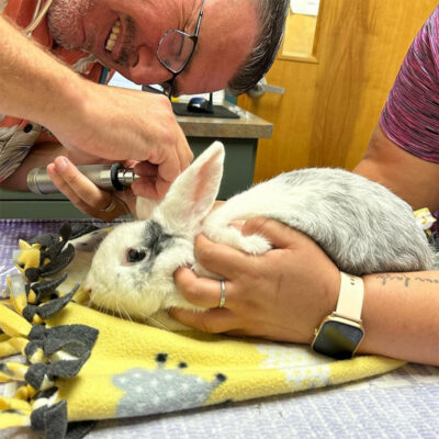 beth-blog-august2023-vet-and-stephen Stephen at vet.