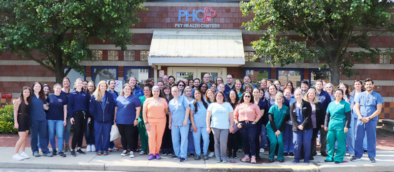 phc-team-group-shot-IMG_9652 Pet Health Centers Team