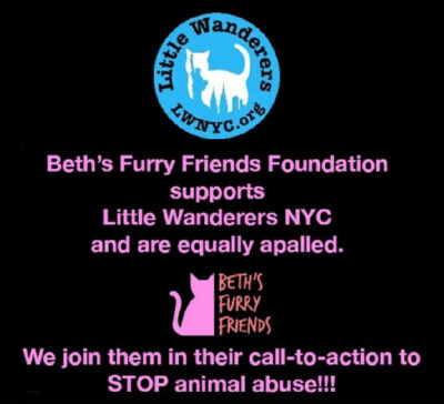 beth-blog-may2024-little-wanderers