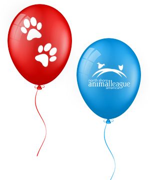 balloons_right_1