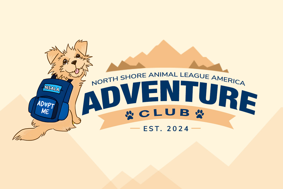 nsala_barkabout_feature_adventureclub_1200x800