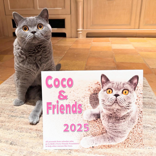 beth-blog-coco-calendar Coco & Friends Calenadr