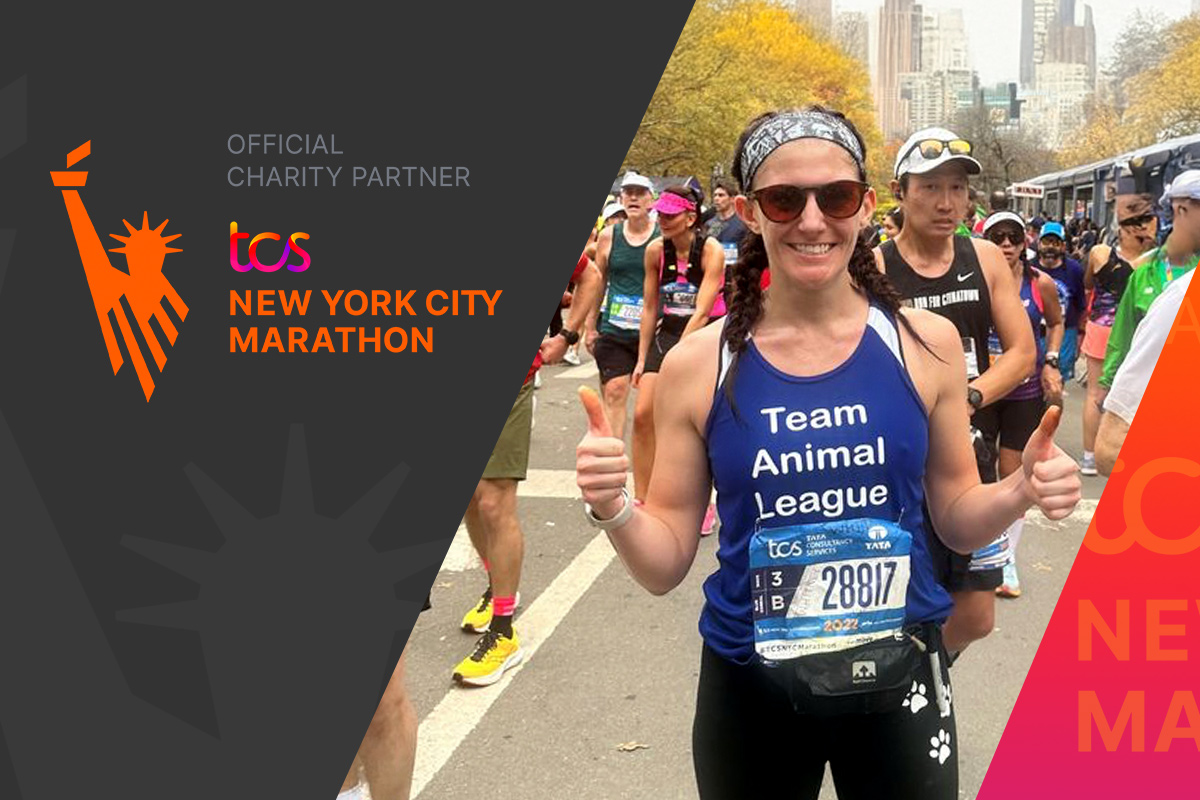 nsala_2025_web_barkabout_nycmarathon_1200x800 2026 TCS NYC Marathon