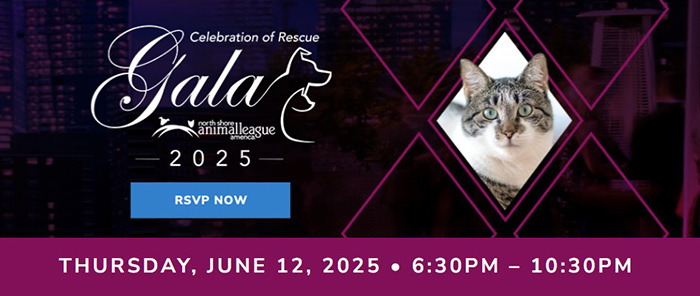 Celebration of Rescue 2025