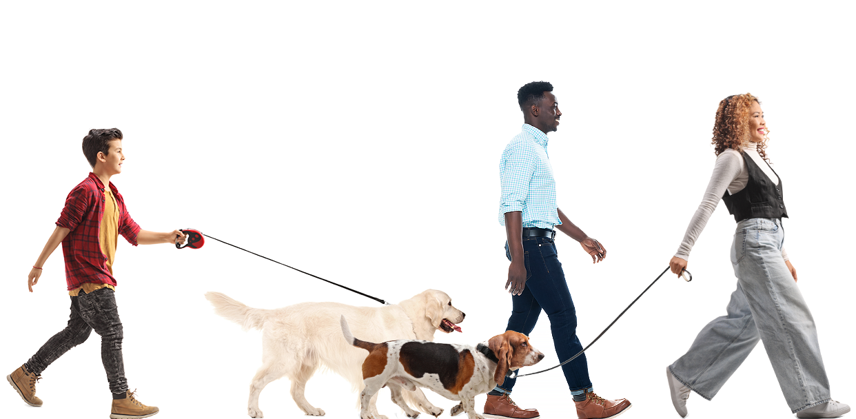 nsala_2025_walkandwag_web_img_walkers_2e_mob