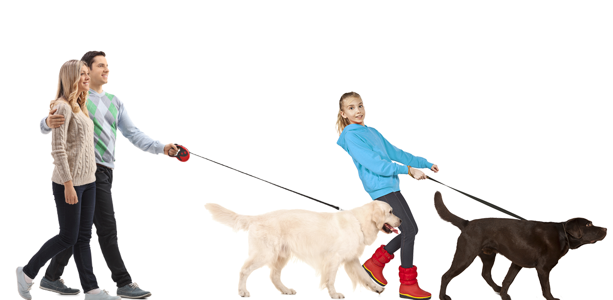 nsala_2025_walkandwag_web_img_walkers_left_3_mob
